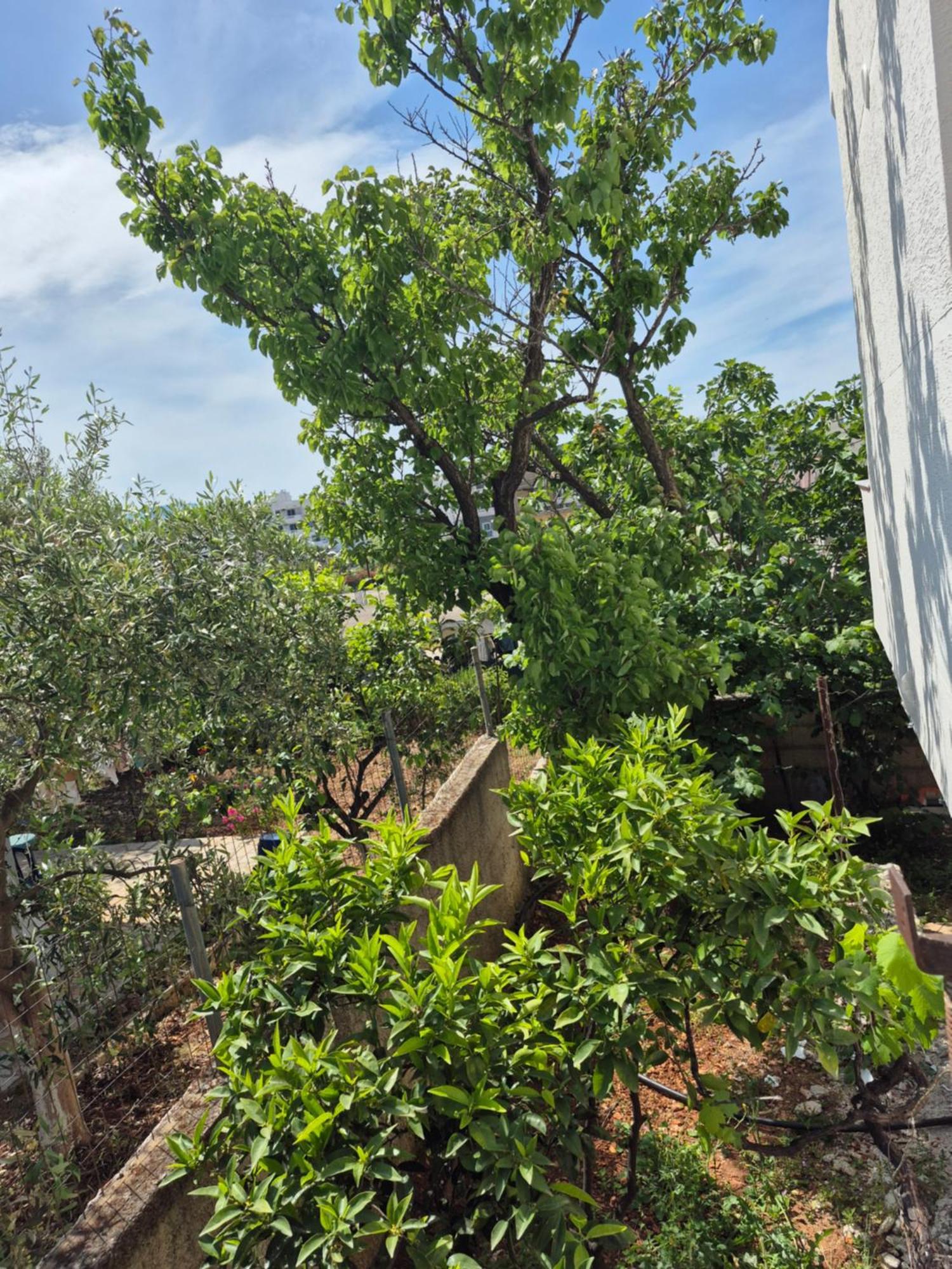 Vita Apartment - Spacious Garden And Balcony 5 Min To Beach & Center Ksamil Exterior foto