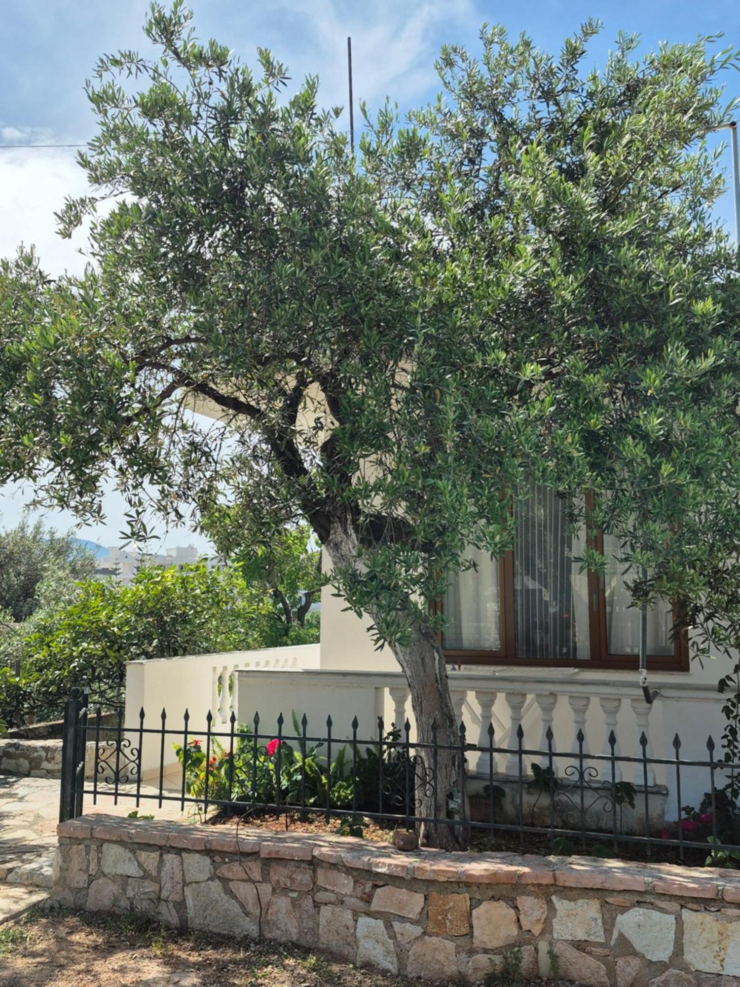 Vita Apartment - Spacious Garden And Balcony 5 Min To Beach & Center Ksamil Exterior foto